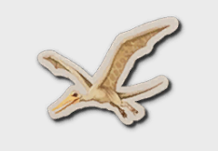Pteranodon Sticker