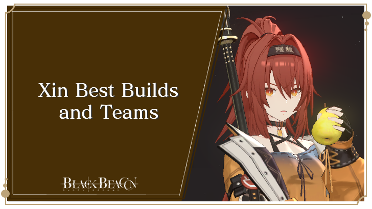 Xin Best Builds and Teams