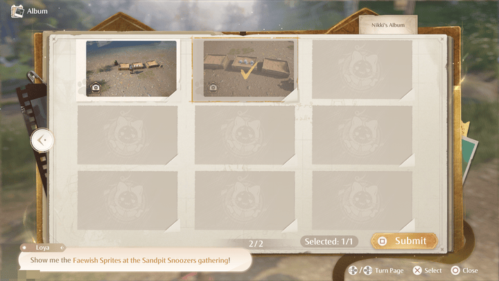 Infinity Nikki - Submit Picture