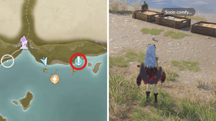 Carnival in Frames - Photo 8 - Take a Picture of Sandpit Snoozer