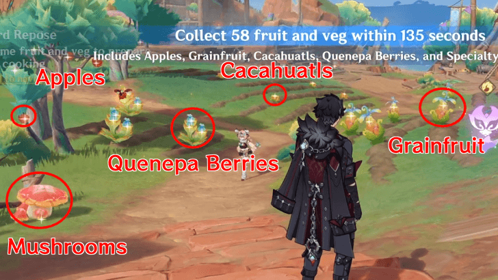 Genshin - Collect 58 Fruit and Veg