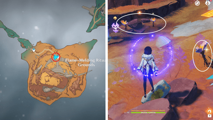 Genshin - Skysplit Gembloom 69-71