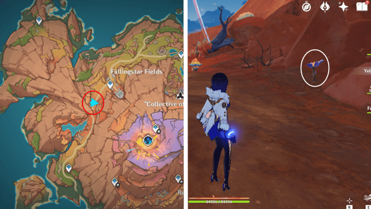 Genshin - Skysplit Gembloom 21