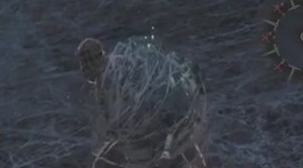 Monster Hunter Wilds - Webbed