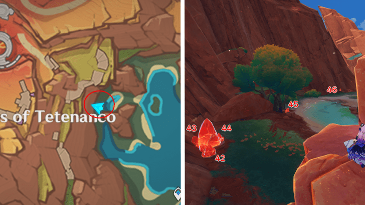 Genshin - Dracolite 42-46