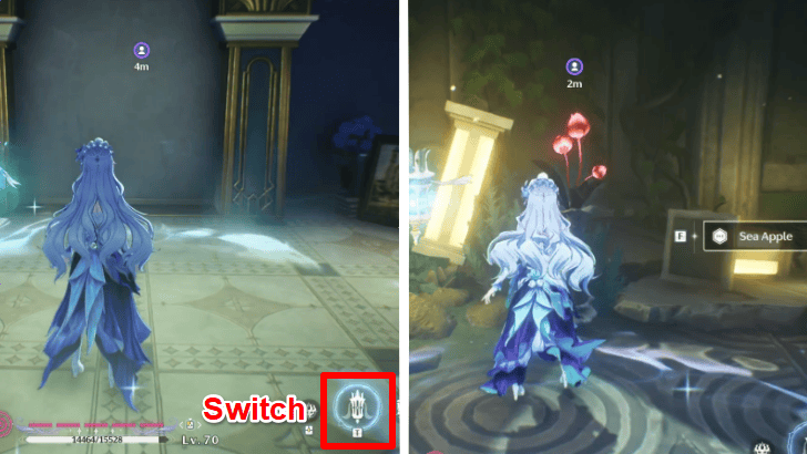 Wuthering Waves Find the First Sea Apple