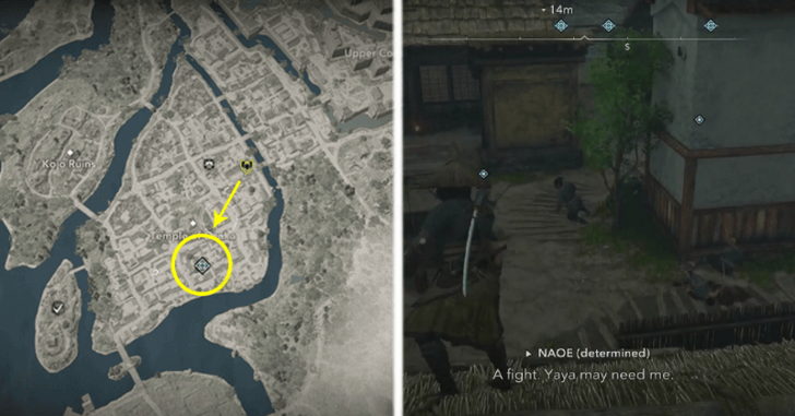 Stray Dogs Yaya Location