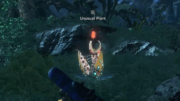 Close Comrades Plant