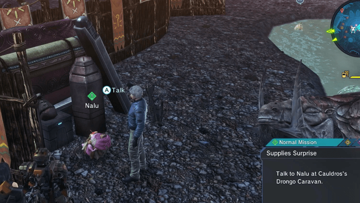 Supplies Surprise Nalu