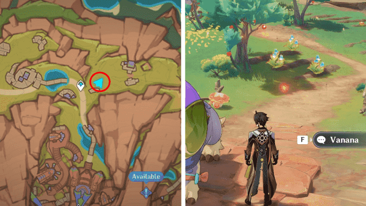 Genshin - Quenepa Berry 45-47