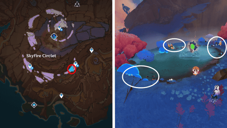 Genshin - Quenepa Berry 50-57