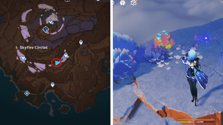 Genshin - Quenepa Berry 49