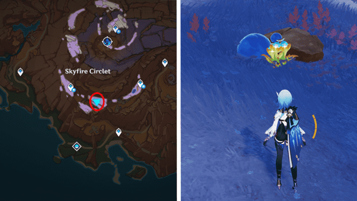 Genshin - Quenepa Berry 48