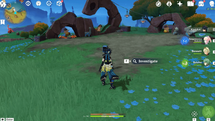 Flower-Feather Clan Kamera Puzzle 5.png