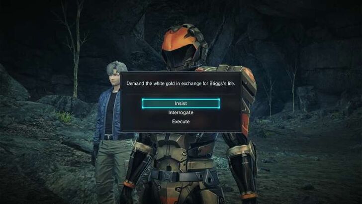 Insist Interrogate Execute