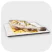 Steamed Fish Icon