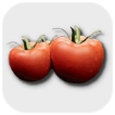 Tomato Icon