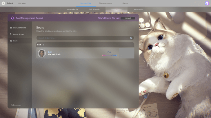 Souls in Soul Management Report