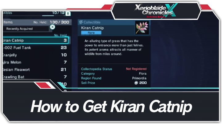 How to Get Kiran Catnip