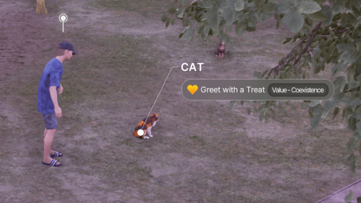 How to Bond with Animals