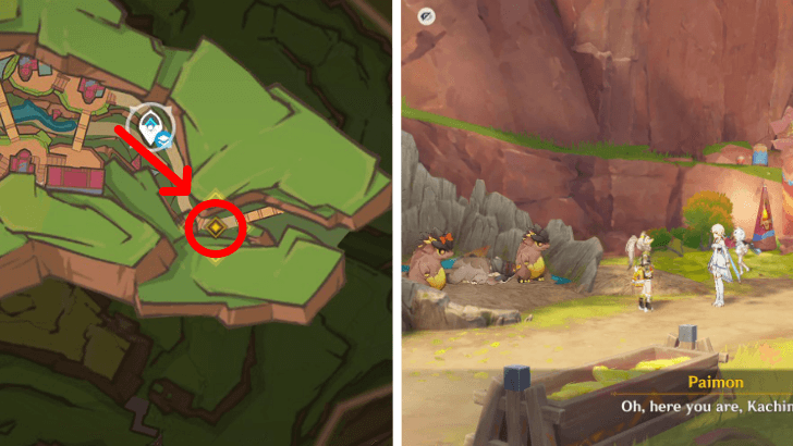 Genshin - Medicine Born of Guilt - Find Kachina