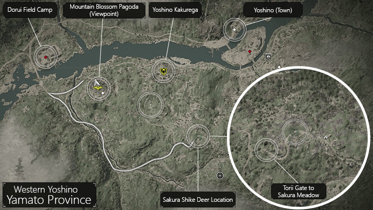 Sakura Shike Deer Location