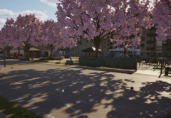 Clover Park - Basketball Court