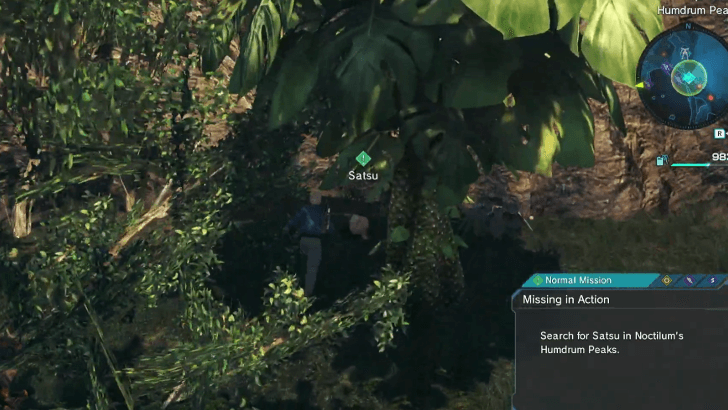 Missing In Action Satsu