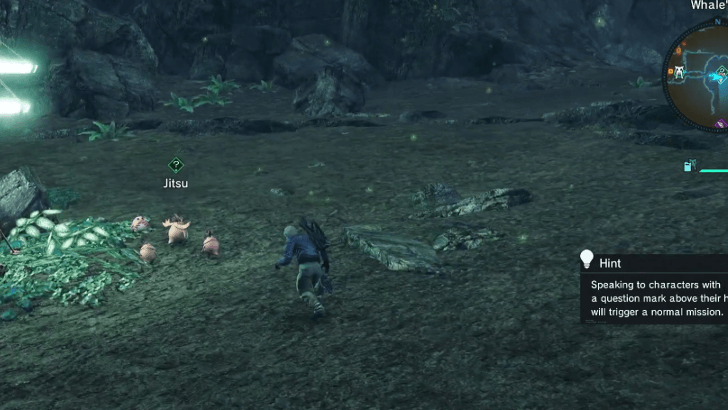 Missing In Action Jitsu