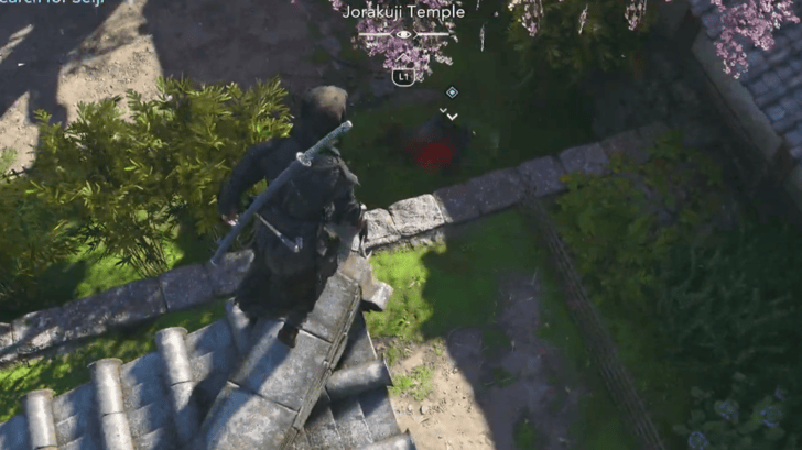 Kill Commander Seiji