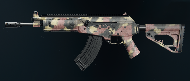Black Ops 6 - Grim CR-56 Amax Camo