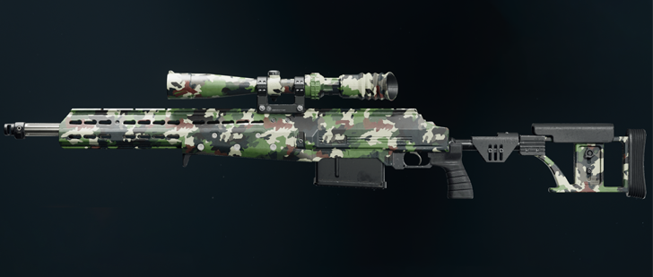 Black Ops 6 - Evergreen HDR Camo