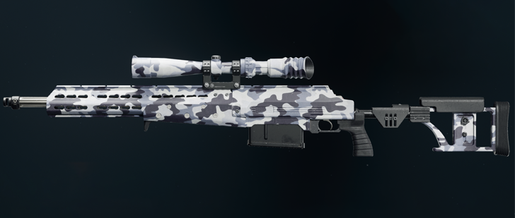 Black Ops 6 - Tundra HDR Camo