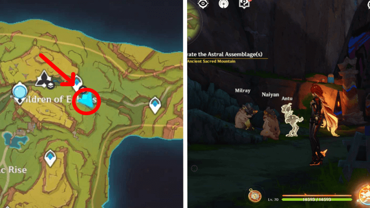 Genshin - Glory in Bloom Locations - Antu