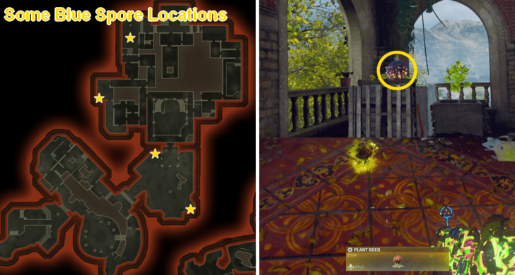 Blue Spore Locations