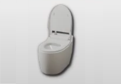 Automatic Bidet