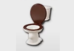 Round Toilet