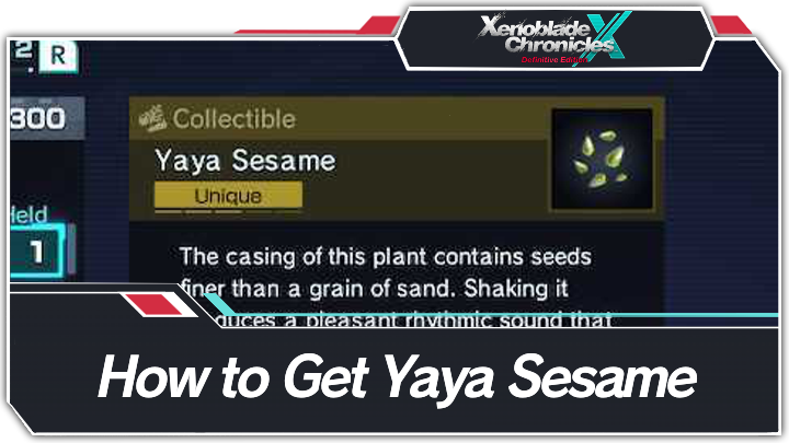 How to Get Yaya Sesame