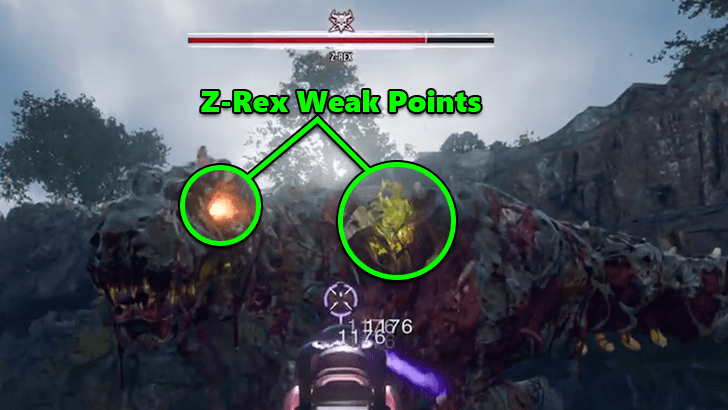 Z-Rex Weak Points