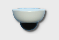 Surveillance Camera