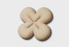 Flower Point Cushion