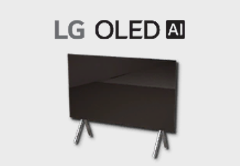 LG OLED evo (Stand Type)