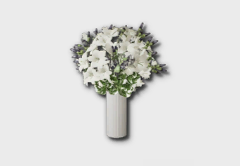 Medium Casablanca Lily