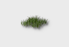 Grass