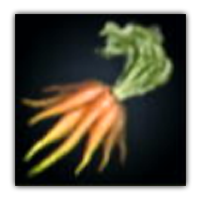 Keppo Carrot Collectopedia