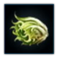 Sadelana Lettuce Collectopedia