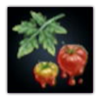 Amidresian Tomato Collectopedia