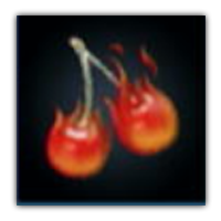 Mondcherry Collectopedia