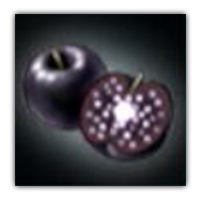 Starlight Apple Collectopedia