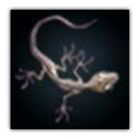 Rizattice Collectopedia